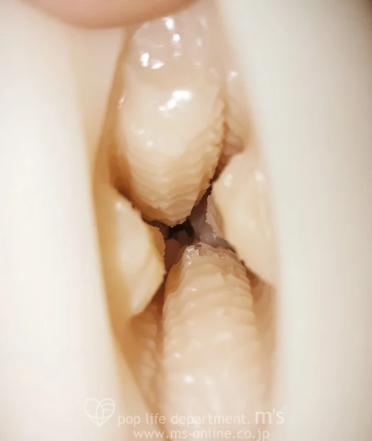 モテない男は異世界転生して唯一覚えた催眠魔法でエルフの極上名器を堪能する