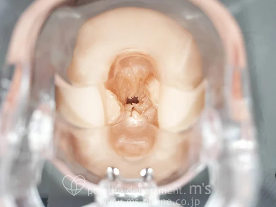 モテない男は異世界転生して唯一覚えた催眠魔法でエルフの極上名器を堪能する