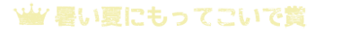 暑い夏にもってこいで賞