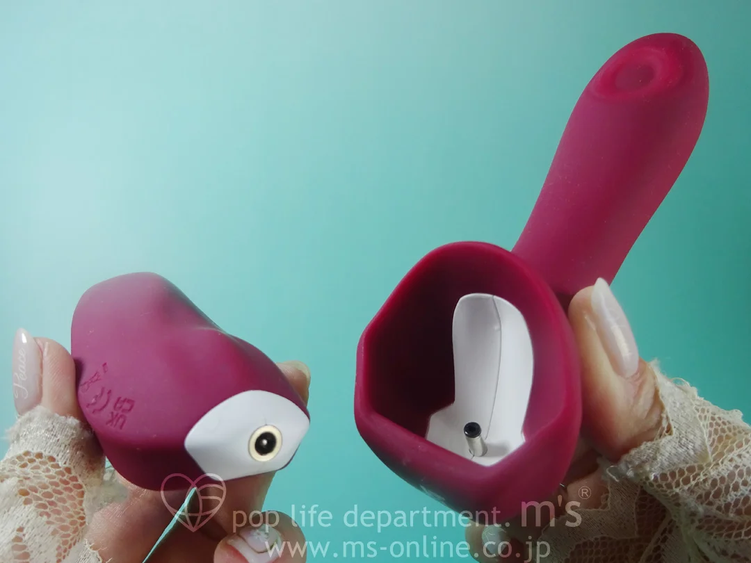 nemo PittaG+ ネモ ピッタGプラス