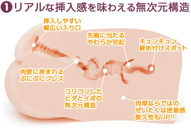 リアルな挿入感を味わえる無次元構造