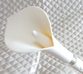バイブコレクター桃子の大人のおもちゃレポ「ZALO calla ザロ カラー」サムネイル